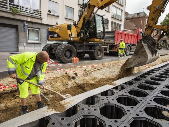 Leuven beschermt bomen en verharding Hooverplein met Treeparker I Leuven