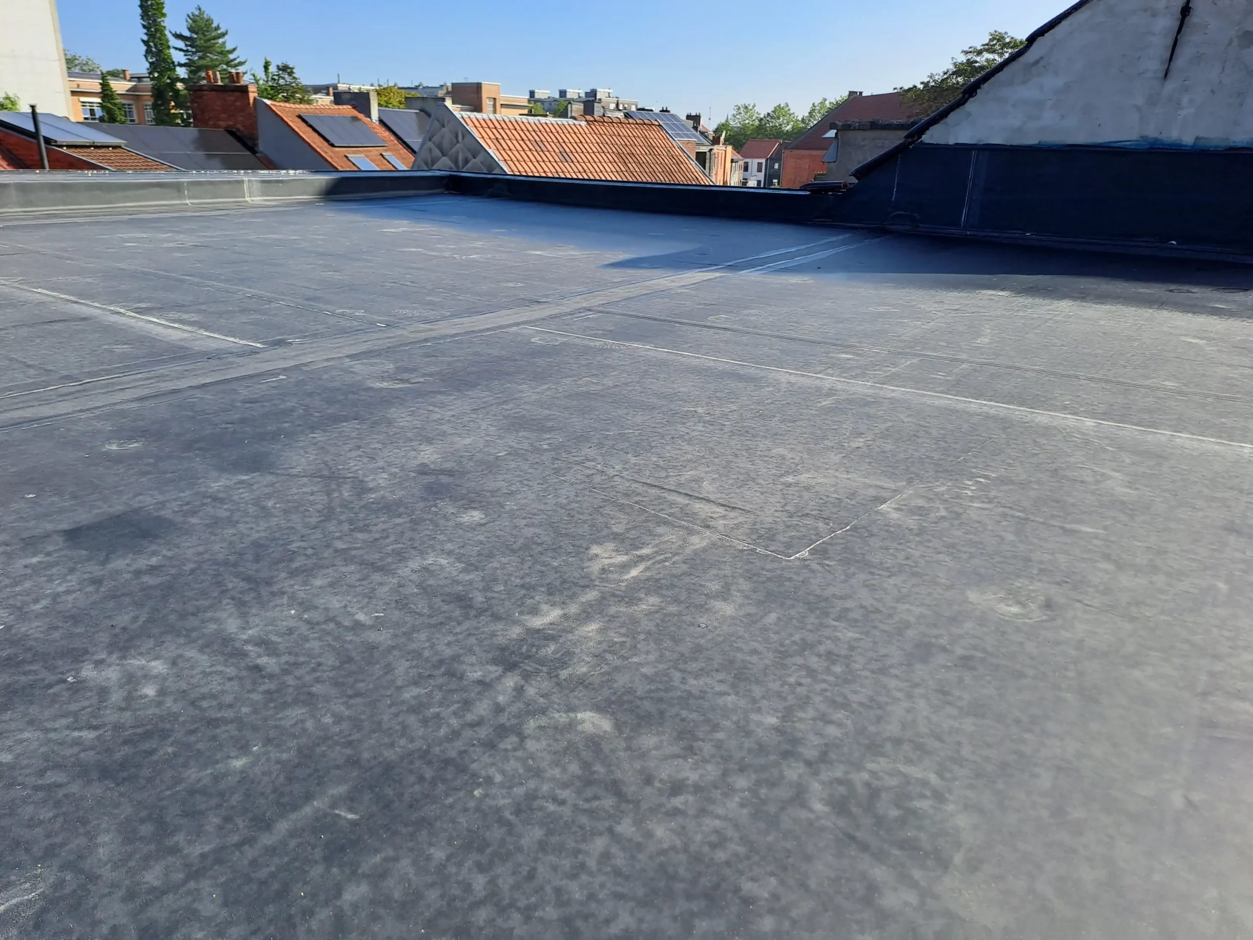 20230821 100110 kopieren scaled
