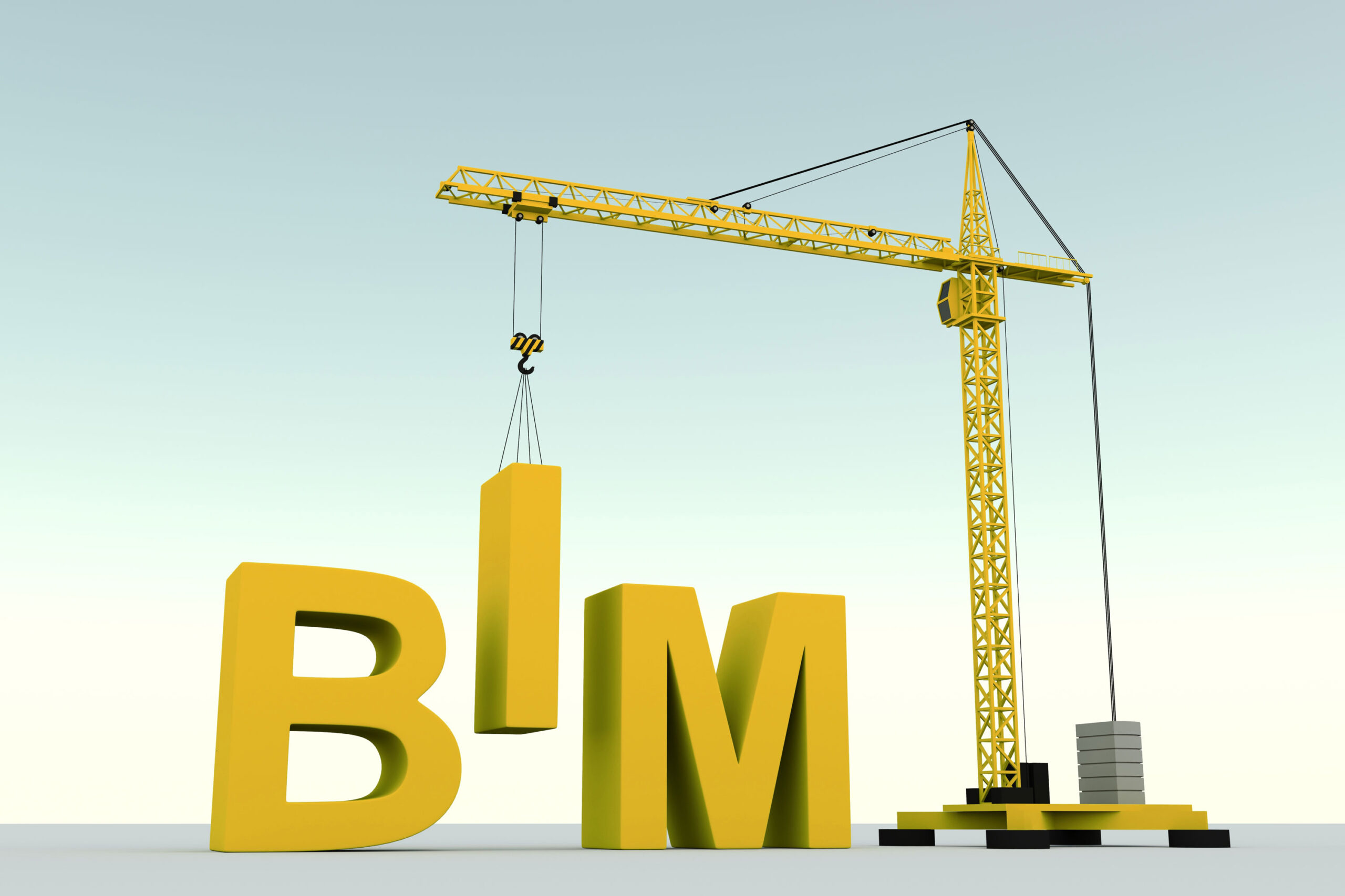 BIM scaled