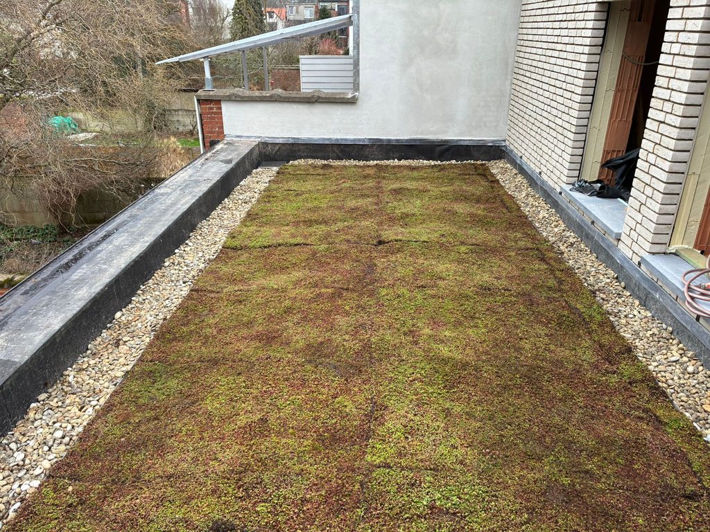 IMEMO a réalisé avec Deschacht un toit vert biodivers à Borgerhout, qui combine durabilité, esthétique et solution pratique.